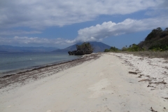 Beach at Pantar