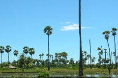 East Sumba